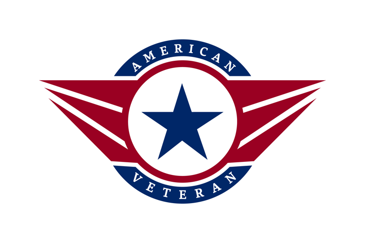 American USA Flag Star Wings for Military Veteran Army