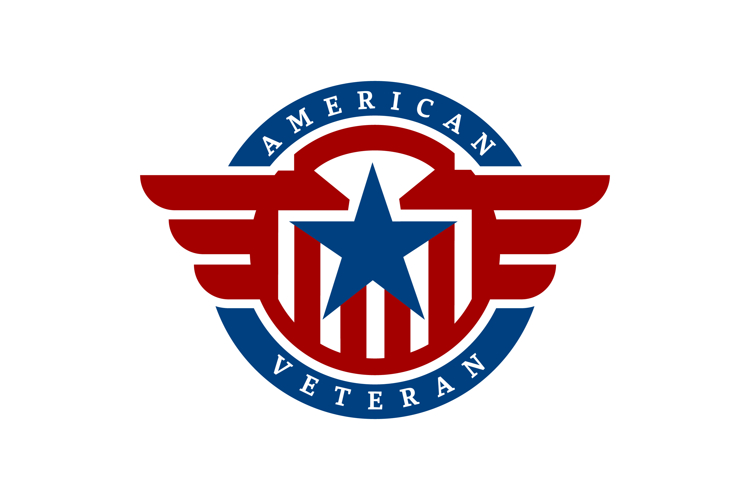 American USA Flag Star Wings for Military Veteran Army