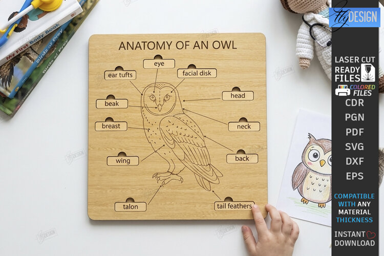 Anatomy Board Laser Cut | Educational Puzzle | Owl Anatomy example image 1