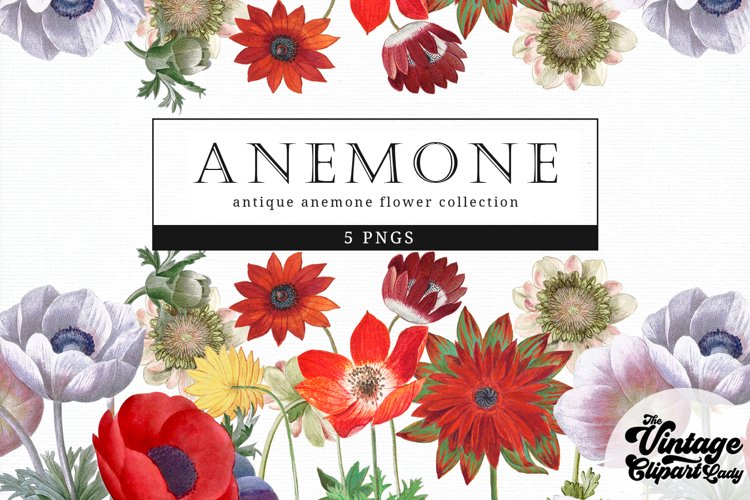 Floral Clipart Image 5