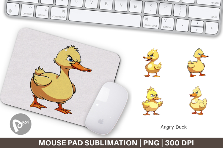 Duck Png Image 13