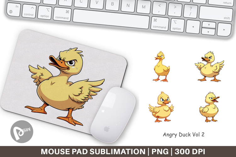 Duck Png Image 12