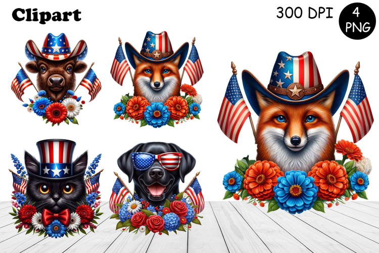 American Flag Clipart Image 14