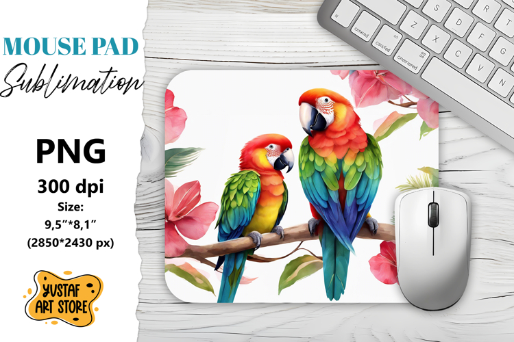 Parrot Clipart Image 18