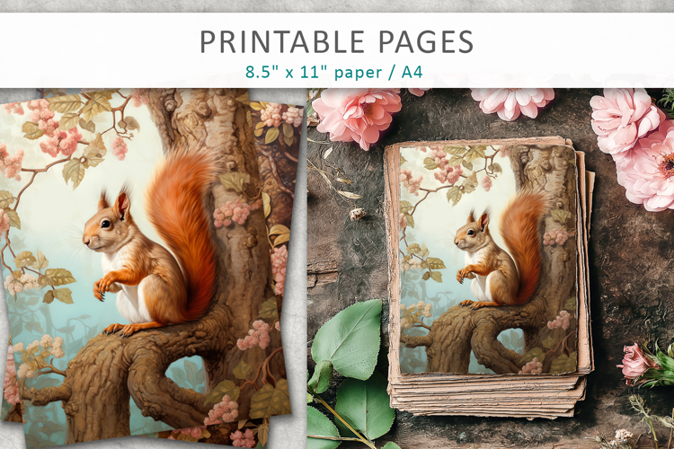 Animal Illustrations Image 8