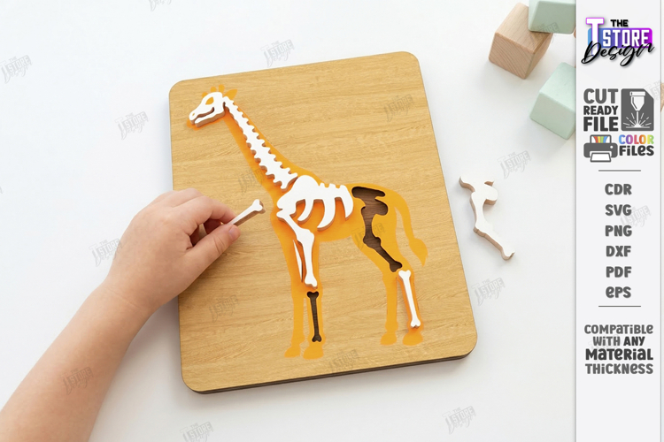 Animal Skeleton Laser Cut | Anatomy Puzzles | Learning Bones
