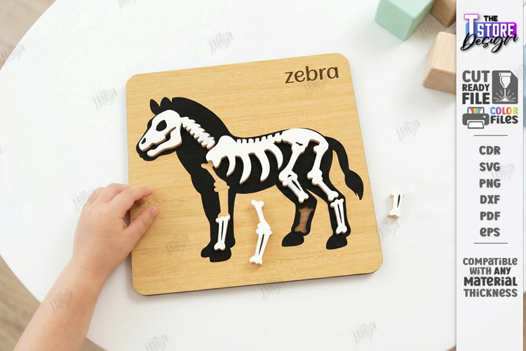 Animal Skeleton Laser Cut | Anatomy Puzzles | Learning Bones