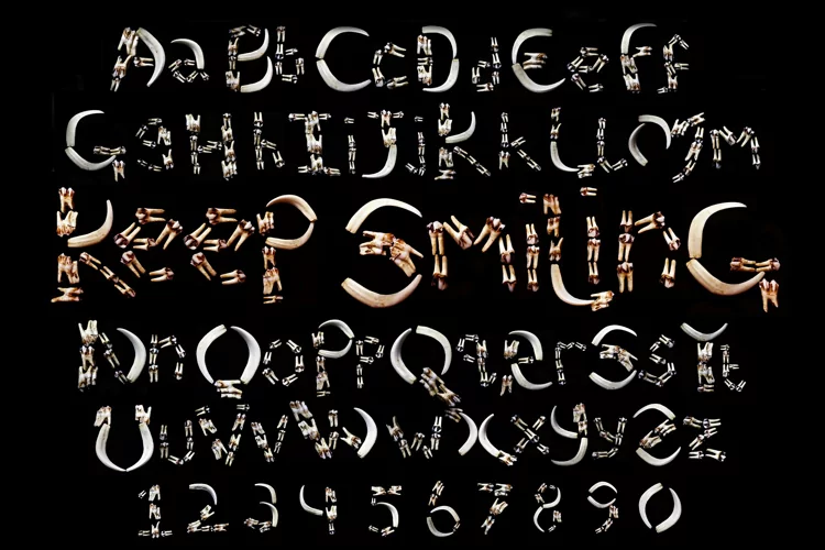 Real Teeth Lettering Alphabet Halloween Animal JPG Bone