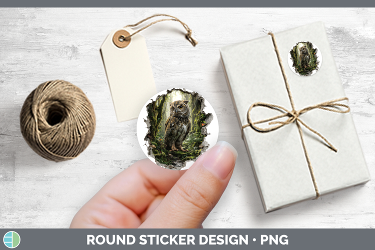 Owl Animals 3D Hole Stickers Design