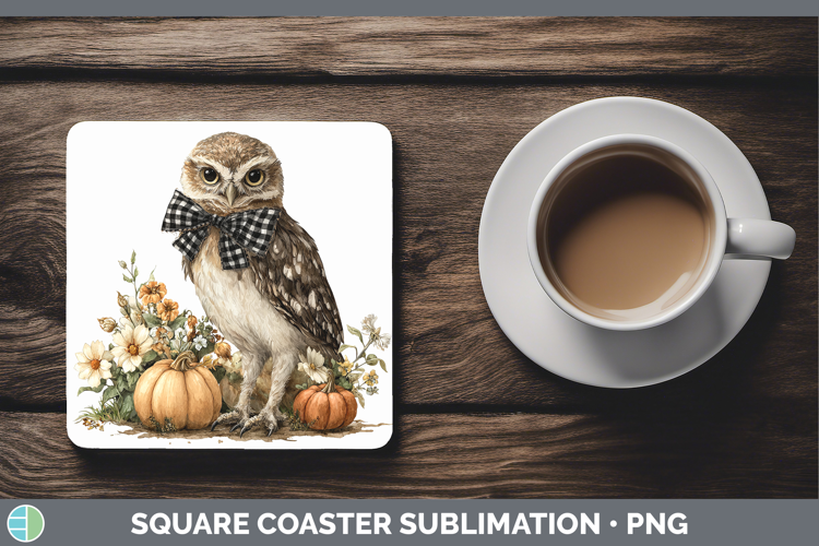 Animals Autumn Pumpkin Owl Square Coaster Sublimation Coaste