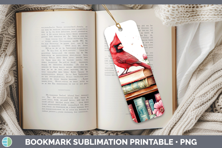 Bookshelf Clipart Image 6