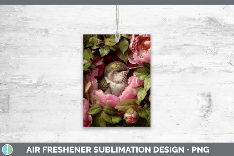 Hummingbird Clipart Image 14