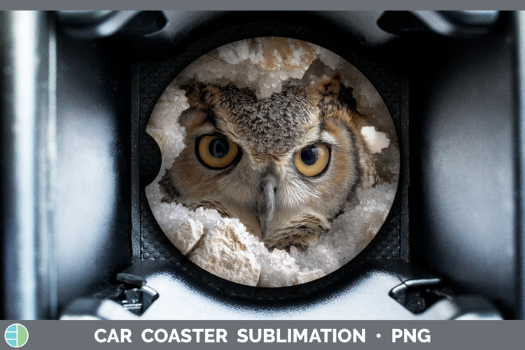 Owl Car Coaster Animals Geode Wall Sublimation Designs