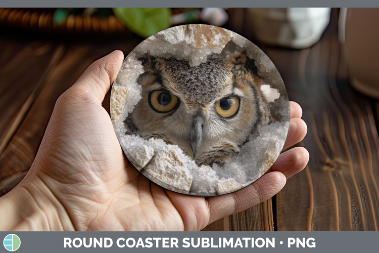 Owl Round Coaster Animals Geode Wall Sublimation Coaster Des
