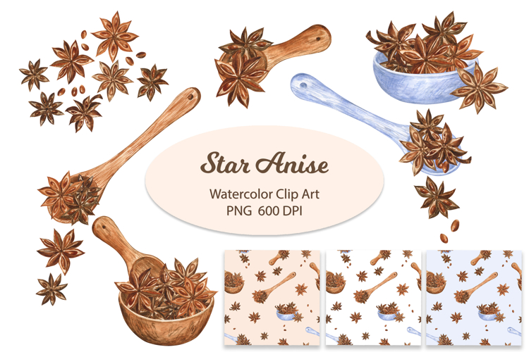 Star Anise Watercolor Clip Art and Cozy Pattern