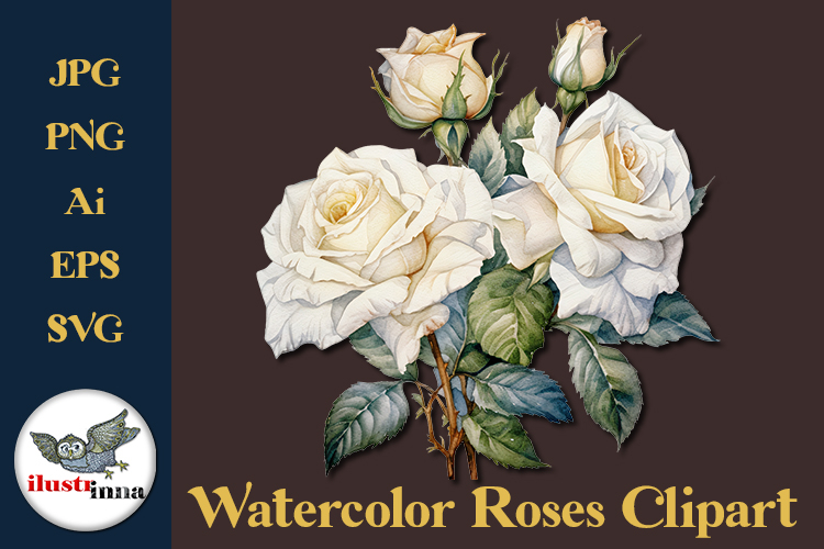 Watercolor Rose Clipart Image 22