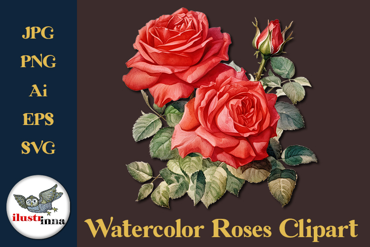 Watercolor Rose Clipart