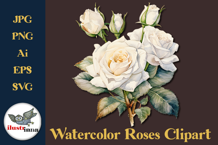 Watercolor Rose Clipart Image 23