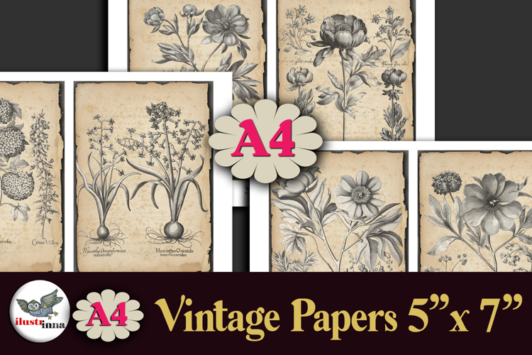 Vintage Botanical Engravings A4 Junk Journal Kit