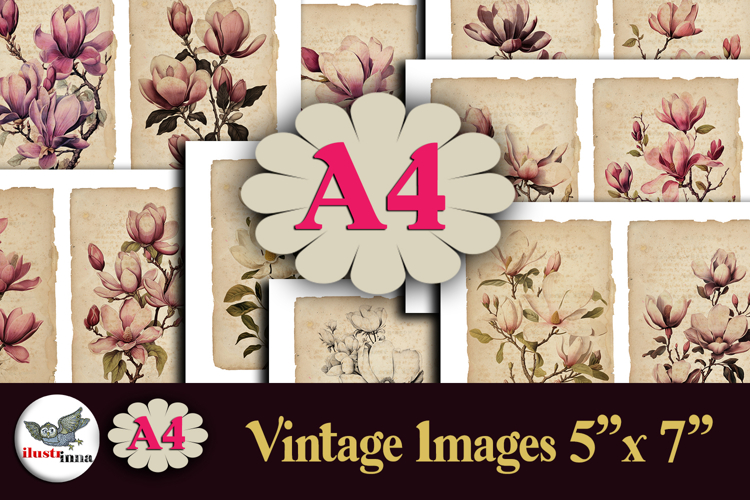 Magnolia Illustration Image 18