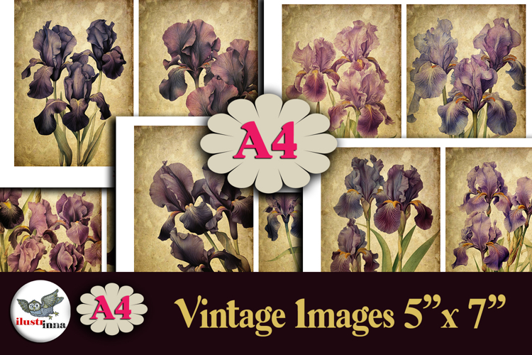 Vintage Iris Flowers 5x7 Junk Journal Papers Kit A4