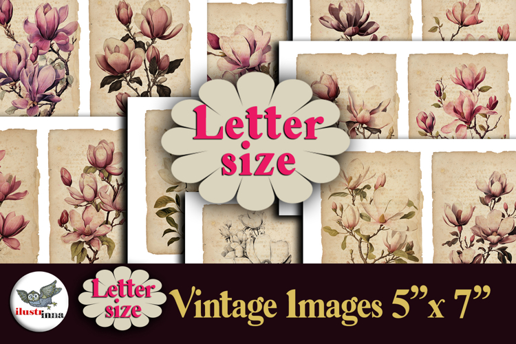 Vintage Botanical Prints