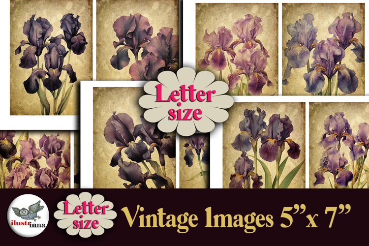 Vintage Iris Flowers 5x7 Printable Journal Kit Letter