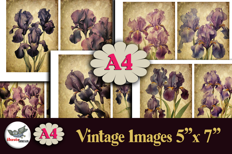 Vintage Iris Flowers 5x7 Printable Journal Kit A4