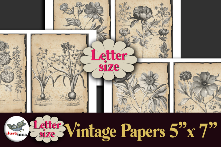 Vintage Botanical Engravings Letter-size Journal Papers Kit