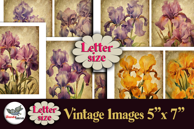 Vintage Iris Flowers 5x7 Printable Kit Letter Size