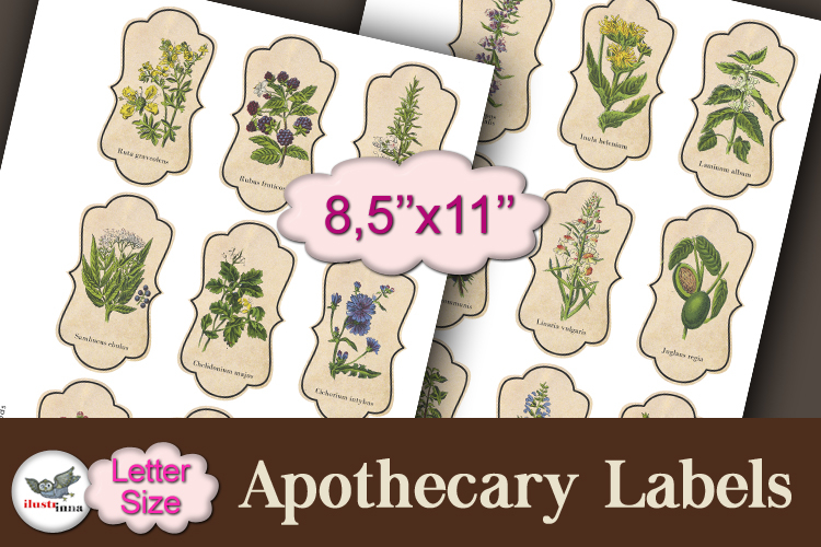 Vintage Apothecary Labels Letter Size Printable Set