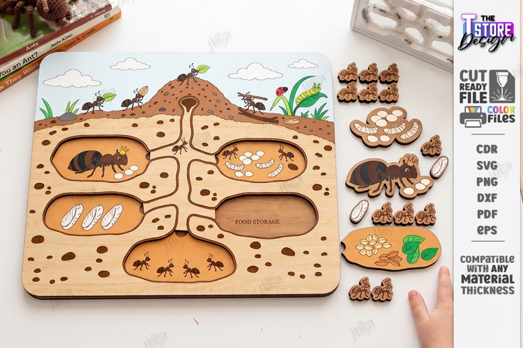 Ant Colony Puzzle Laser Cut | Ant Life Cycle Board | Biology