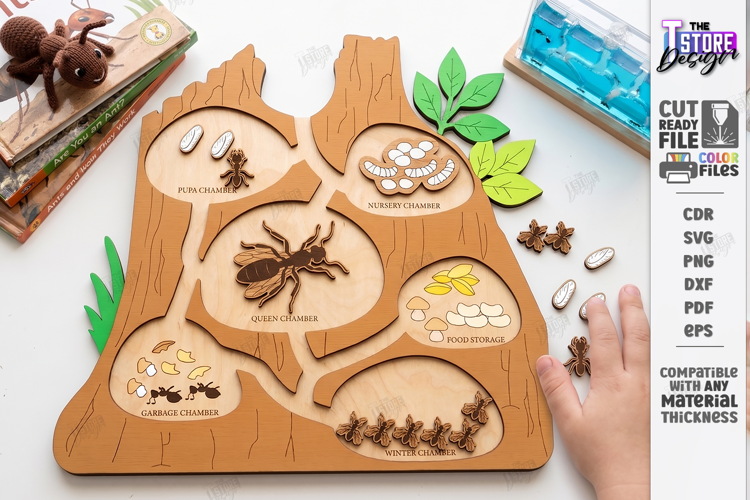 Ant Colony Puzzle Laser Cut | Ant Life Cycle Board | Biology