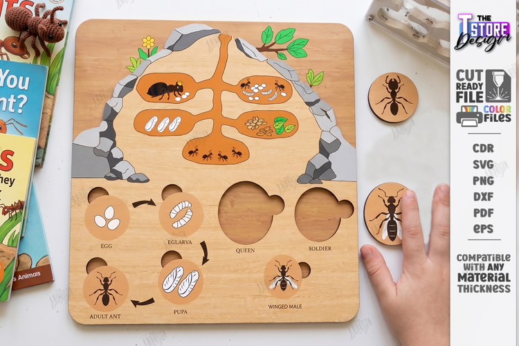 Ant Colony Puzzle Laser Cut | Ant Life Cycle Board | Biology
