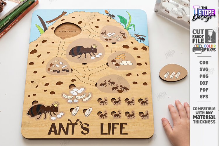 Ant Colony Puzzle Laser Cut | Ant Life Cycle Board | Biology