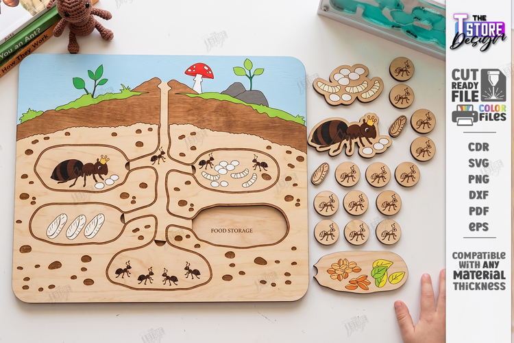 Ant Colony Puzzle Laser Cut | Ant Life Cycle Board | Biology