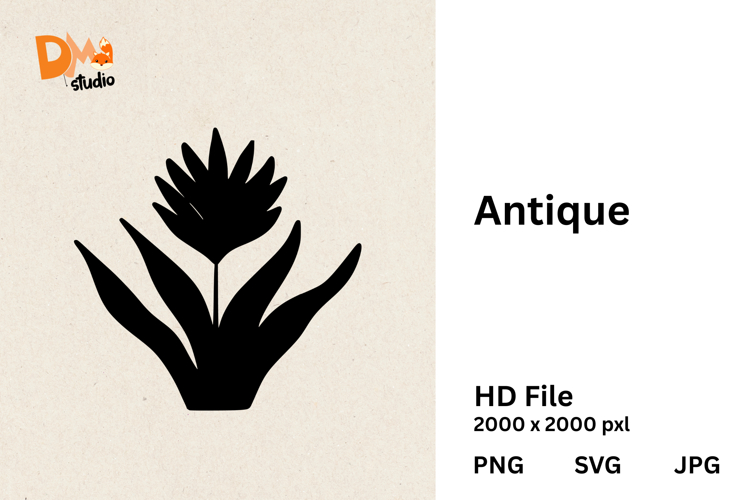 Floral Png Image 24