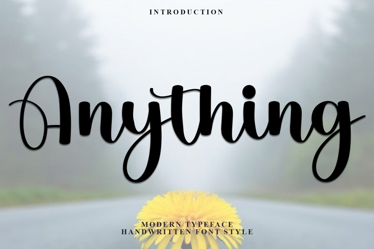 Branding Font Image 22