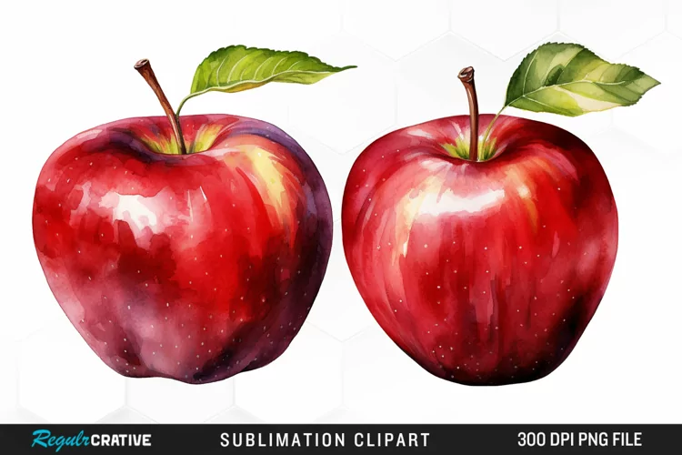 Watercolor Apple Graphics Clipart