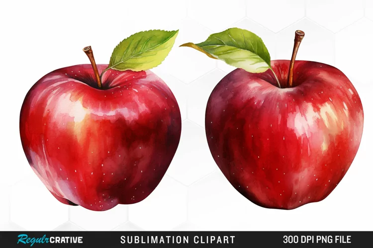 Watercolor Apple Graphics Clipart