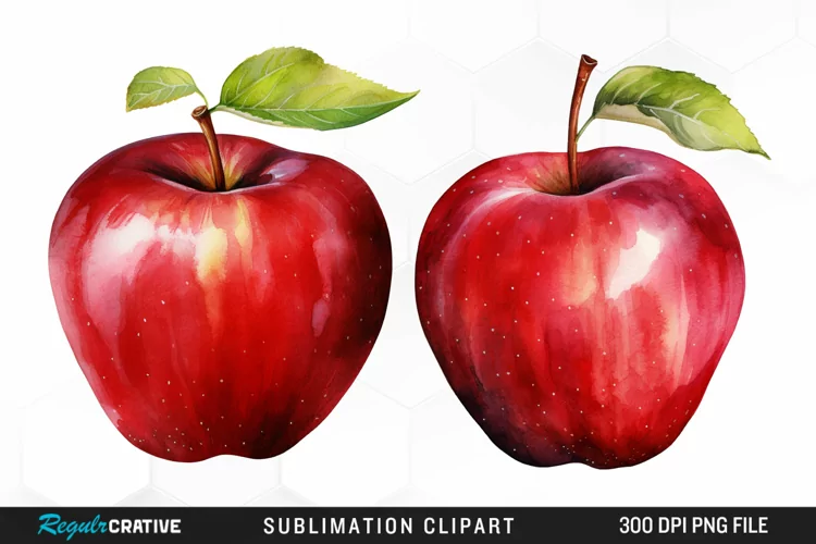 Watercolor Apple Graphics Clipart