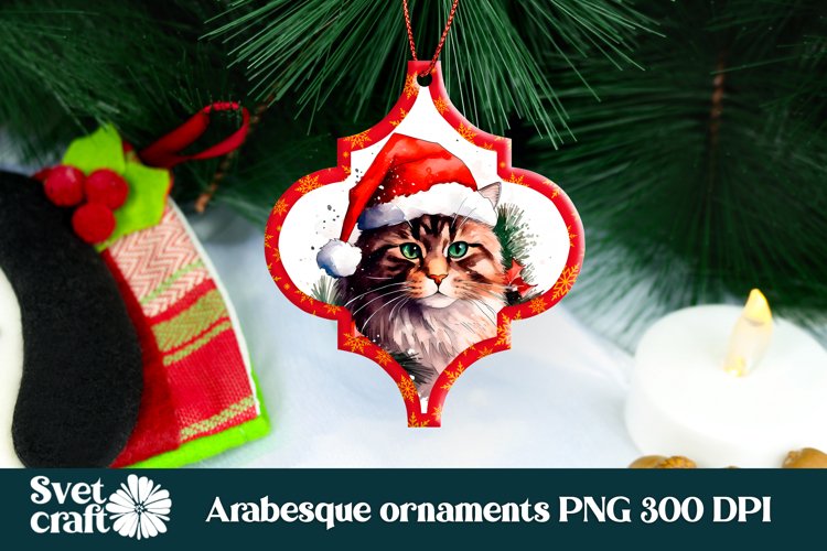 Cute Cat Png Image 2