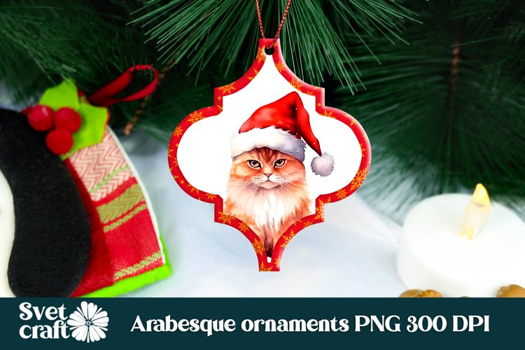 Cute Cat Png Image 22