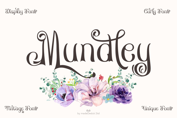 Branding Fonts Image 5
