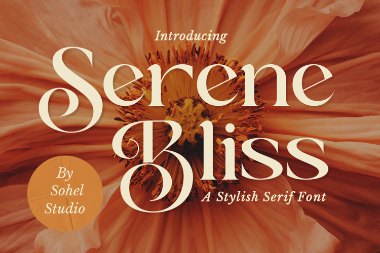 Classy fonts Image 7