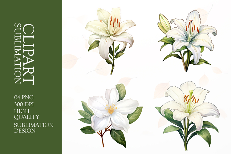 Pastel Watercolor Flower Png Image 20