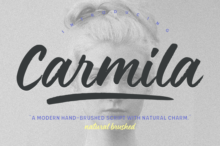 Carmila Modern Handbrushed Script Font