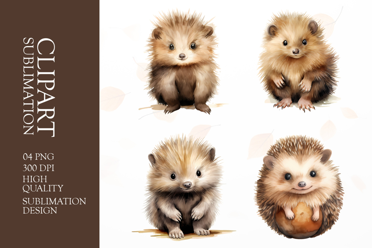 Woodland Animal Clipart Image 23