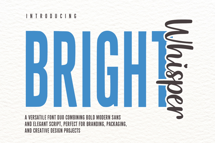 Modern Serif Font Image 2