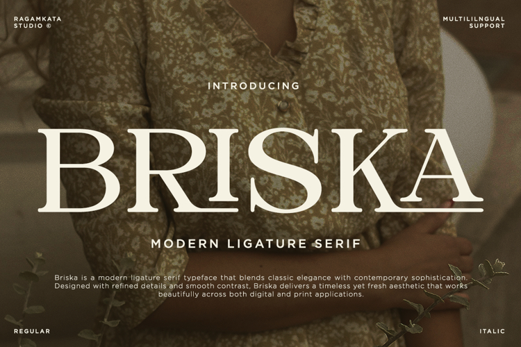 Briska - Modern Ligature Serif